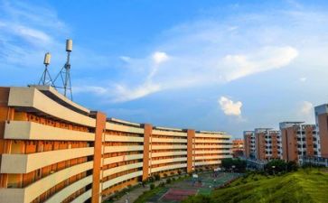 高校教师的心得体会推荐7篇