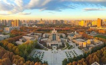 高校教师总结最新8篇