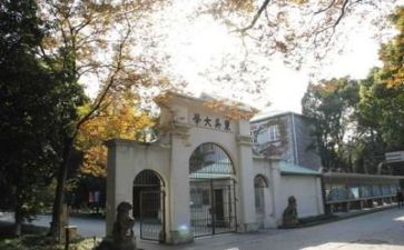高校体育教师工作总结8篇