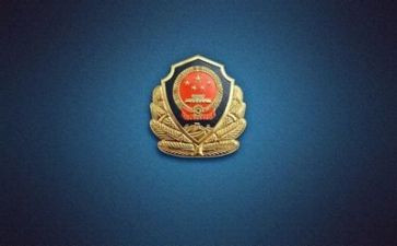 公安处工作总结7篇