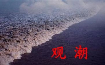 观潮读后感200字推荐5篇