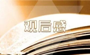 异地恋观后感5篇