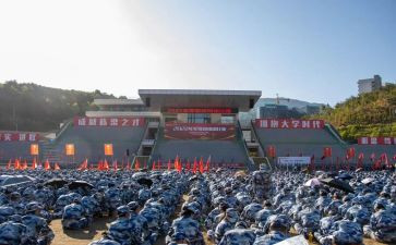 观训申请书模板优质7篇