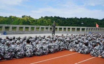观训申请书模板最新7篇