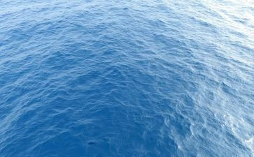 海训游泳心得体会6篇