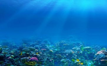 海底两万里海底读后感最新5篇
