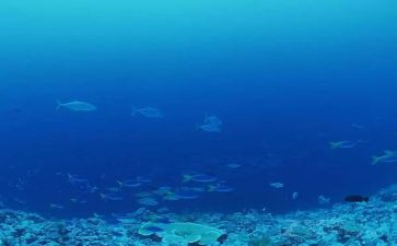 读海底两万里心得体会推荐6篇