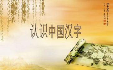 有关于汉字的调查报告5篇