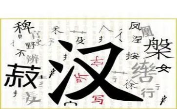 写关于汉字的调查报告5篇