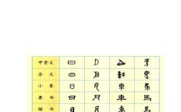 汉字精的调查报告通用8篇