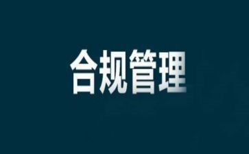 公司合规划工作计划5篇