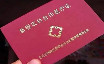补办合疗申请书7篇