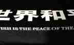 战争与和平的心得体会5篇