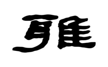 和雅少年演讲稿8篇