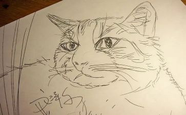 《画》作文800字优质6篇