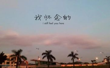 怀念老陆读后感最新7篇