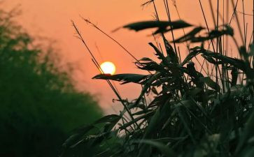 我怀念作文6篇