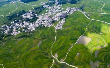 对环境调查报告范文优秀7篇