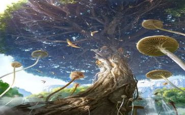 2024年幻想作文6篇