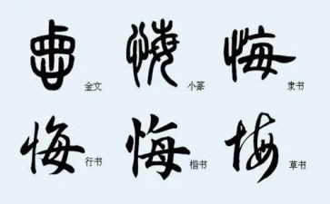 我无悔的青春作文6篇