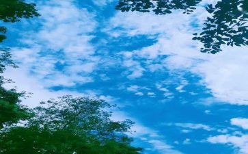 难忘的回忆作文500字7篇