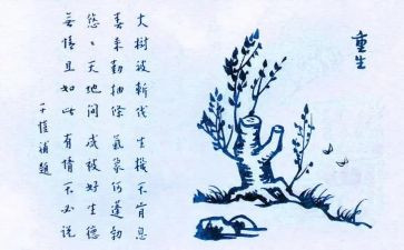 保护生态调查报告8篇