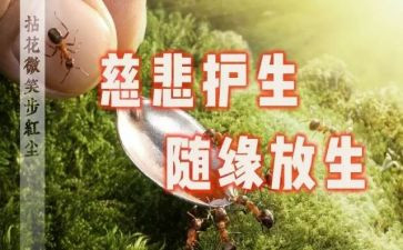 保护生态演讲稿推荐6篇