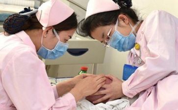 2024年度个人护士总结报告6篇