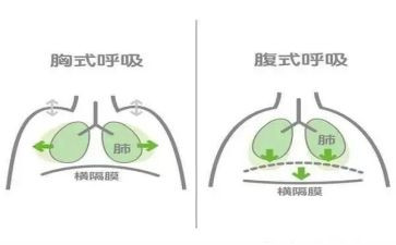 2023年呼吸内科工作计划8篇