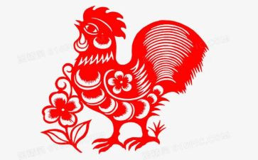 小母鸡的梦作文5篇