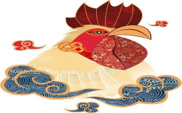大班煮鸡蛋教案7篇