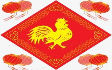 被母鸡追的作文通用7篇