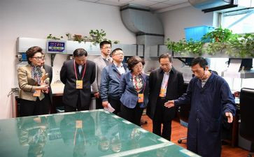 监委会年度工作计划优质7篇