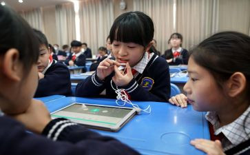 幼儿教学设计方案模板7篇