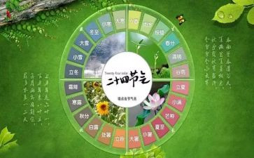 24节气活动方案6篇