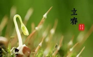 中班24节气教案优质7篇
