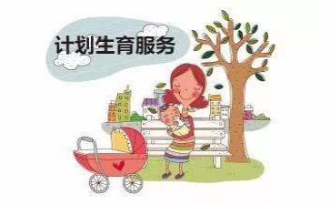 2023年计生工作计划总结8篇
