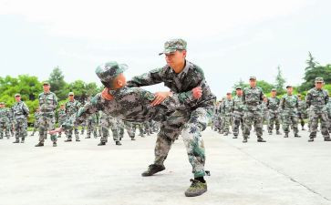 机训工作述职报告总结最新8篇
