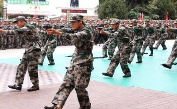 军训做的工作总结6篇