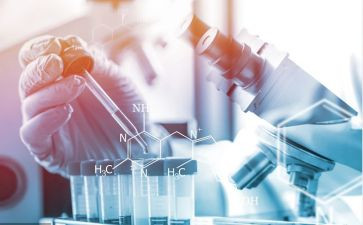中班科学活动桥的教案5篇