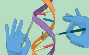 科学教师年终总结5篇