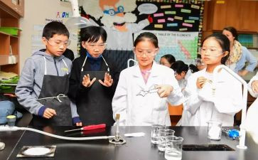 科学课期末总结7篇