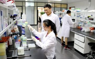 科研上半年工作总结6篇