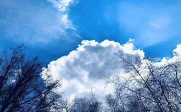 空气的调查报告最新6篇