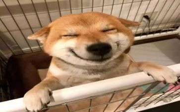 2024音乐组教研计划通用8篇