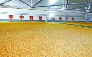 2024年粮库工作总结8篇