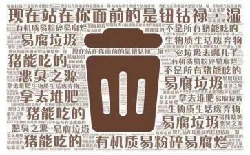 2024年垃圾分类心得体会推荐6篇