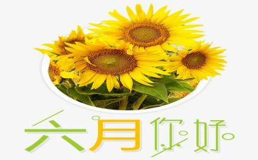 幼儿园六月保育工作计划5篇