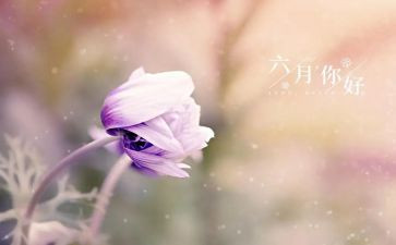 幼儿园六月份工作计划6篇