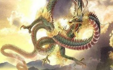 屠龙族读后感5篇
